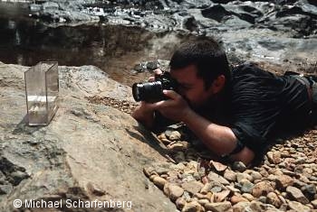 Alle gefundenen Fische wurden fotografiert