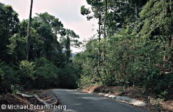 Die Strassen von Koh Chang